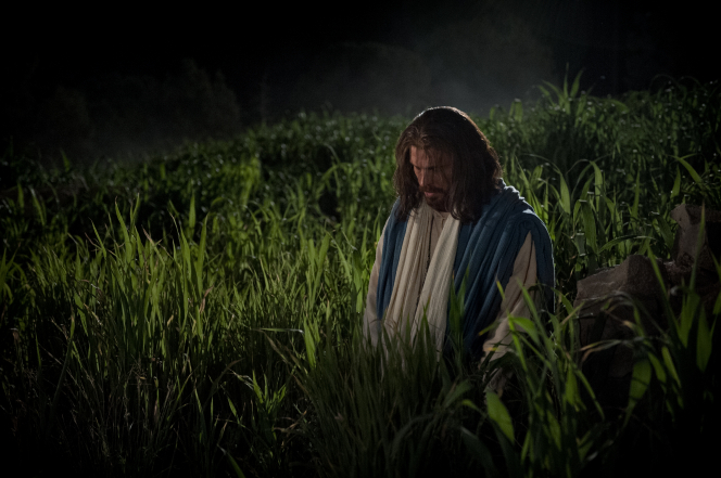 Matthew 26:36–57, Jesus kneels and prays in the garden