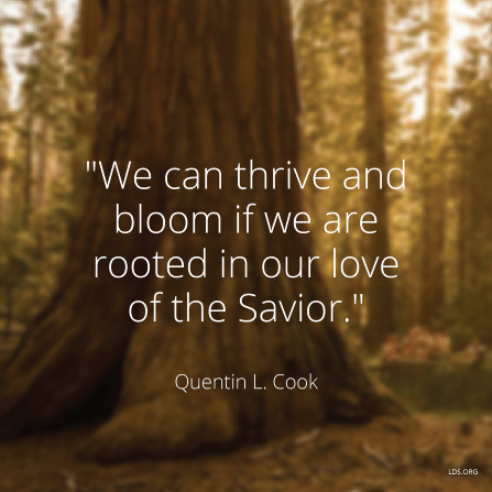 An image of a tree trunk coupled with a quote by Elder Quentin L. Cook: “We can thrive … if we are rooted in our love of the Savior.”