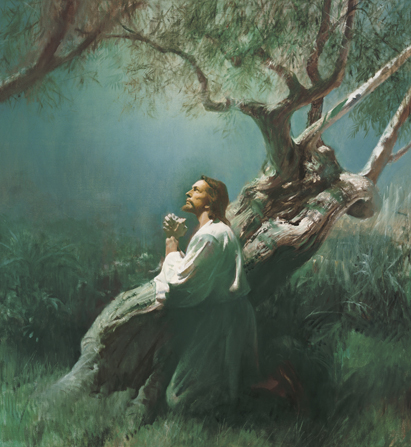 Christ in a white robe, kneeling near a large olive tree, with hands clasped, looking upward.