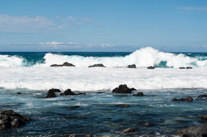 Dark rocks rise above the foaming waterline in Hawaii.