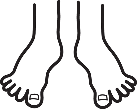 An illustration of two ankles and feet.