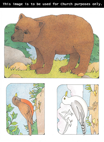 Primary cutouts of a bear standing near rocks and trees, a brown bird standing on a rock, and a white bird standing with other birds flying in the background.