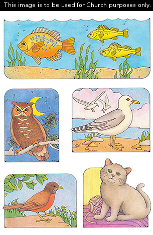 Primary cutouts of three yellow fish swimming, an owl at night, a seagull at the beach, a robin standing, and a cat sitting.