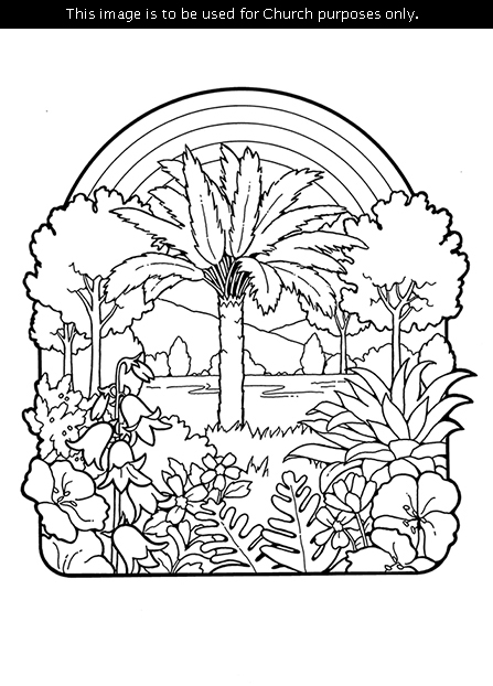 A black-and-white illustration of the Creation, including plants, a tree, and a rainbow.