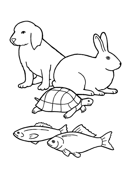 A black-and-white illustration of a puppy, rabbit, turtle, and two fishes.