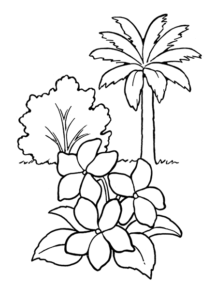 A black-and-white illustration of a palm tree, bush, and three flowers with leaves.