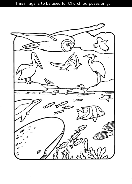 A black-and-white depiction of the creation of fishes and fowls, including a whale, owl, and pelican.