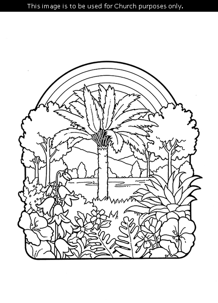 A black-and-white illustration of a palm tree with other trees, plants, shrubs, and flowers around it and a rainbow in the background.