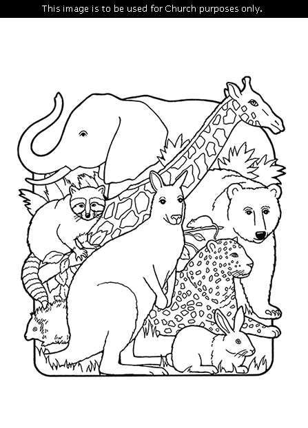A black-and-white illustration of the creation of animals, including an elephant, giraffe, kangaroo, cheetah, rabbit, raccoon, porcupine, mouse, and bear.