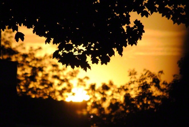 http://www.lds.org/media-library/images/sunrises-sunsets?lang=eng#sunrise-766988
