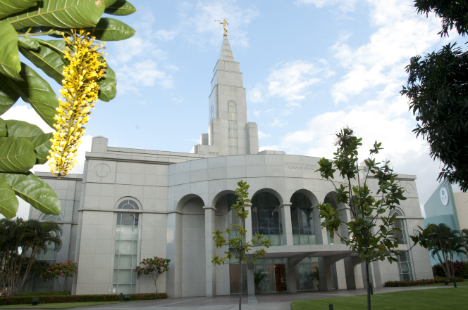 Temple De Recife Br Sil