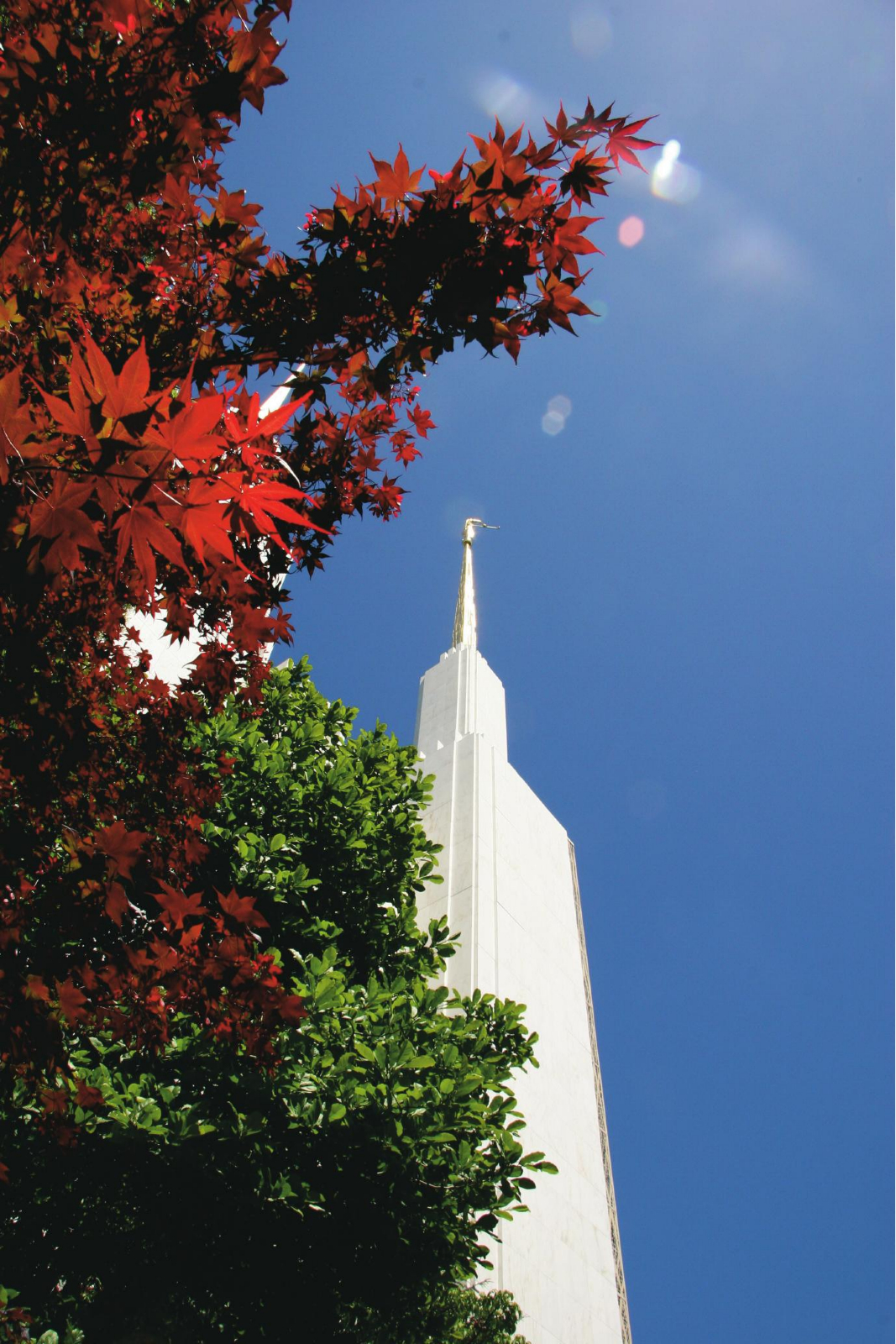 washington-d-c-temple-spire