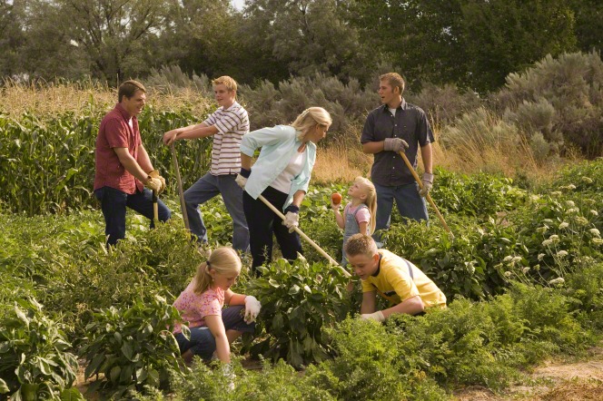 A mother and father work in a large green garden with their five children, who are all helping.