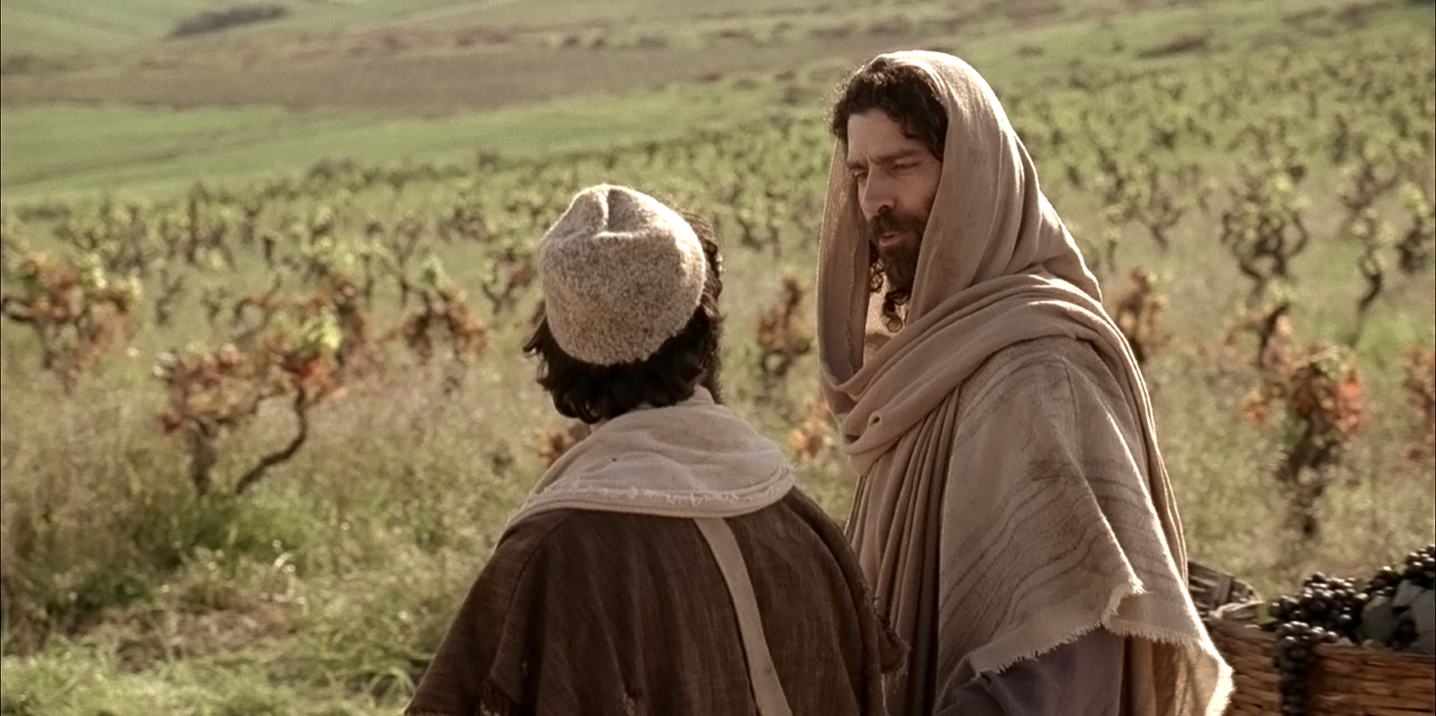 Parable of the vineyard