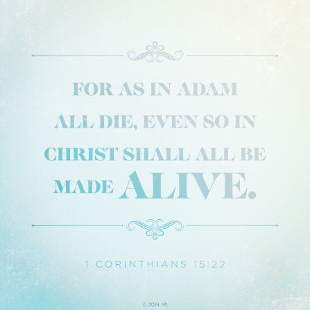A gradient white and blue background with the words found in 1 Corinthians 15:22 printed over the top.
