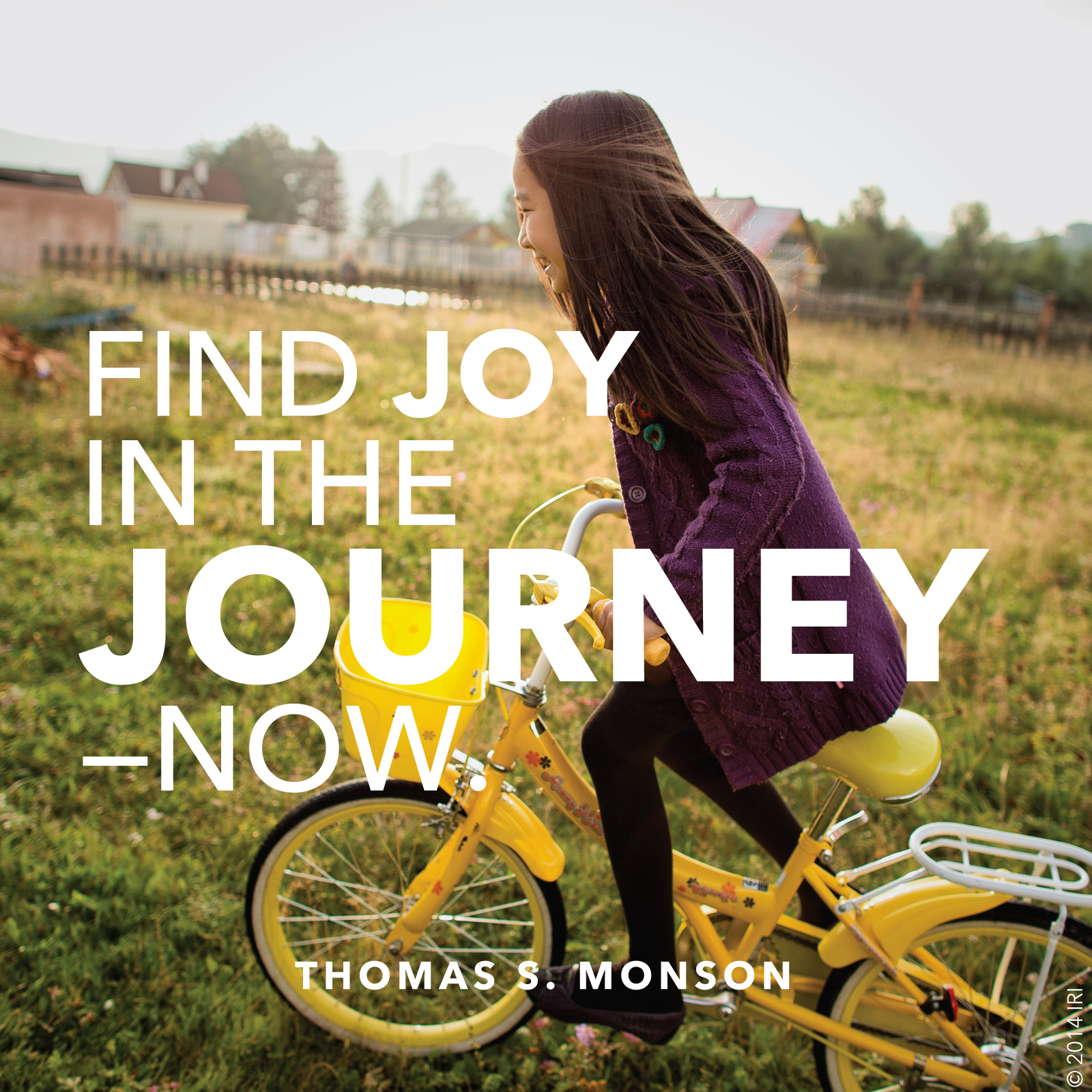 Joy in the Journey