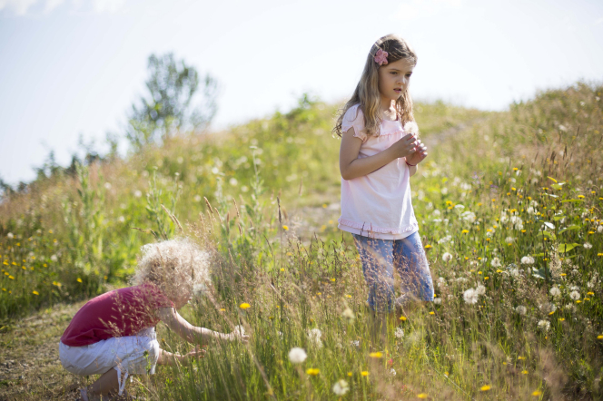 Picking Flowers