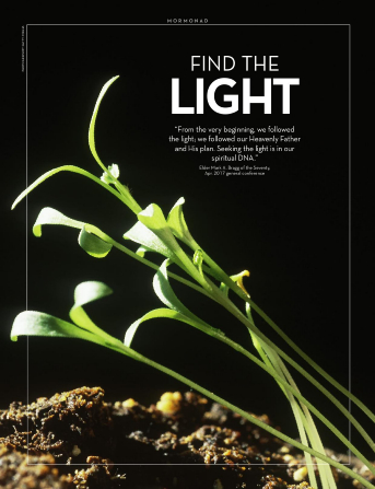 Young green plants growing sideways to reach for sunlight.