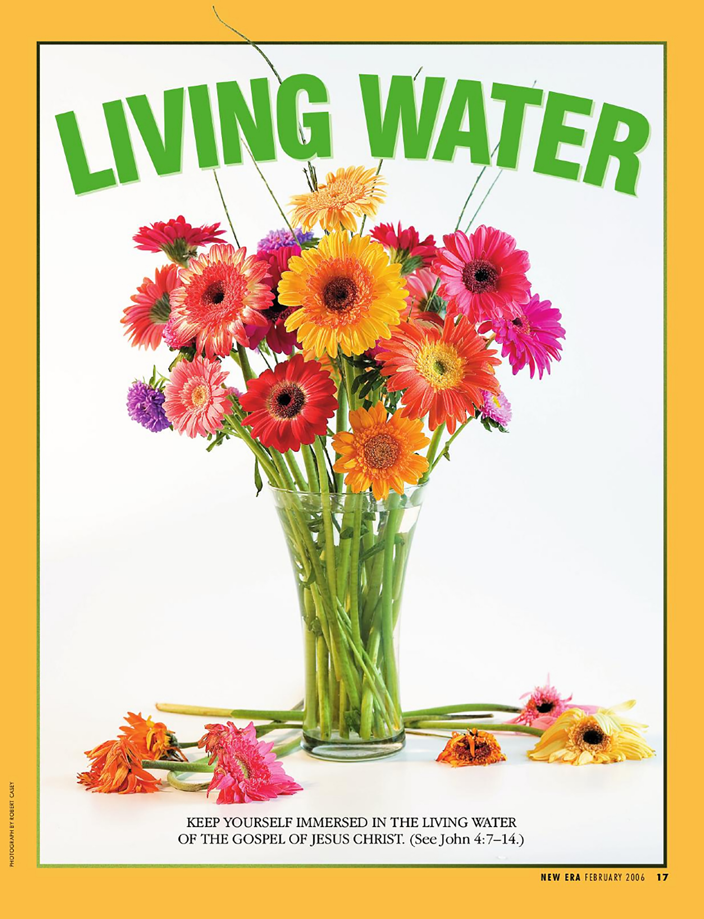Living Water Images, Photos, Reviews