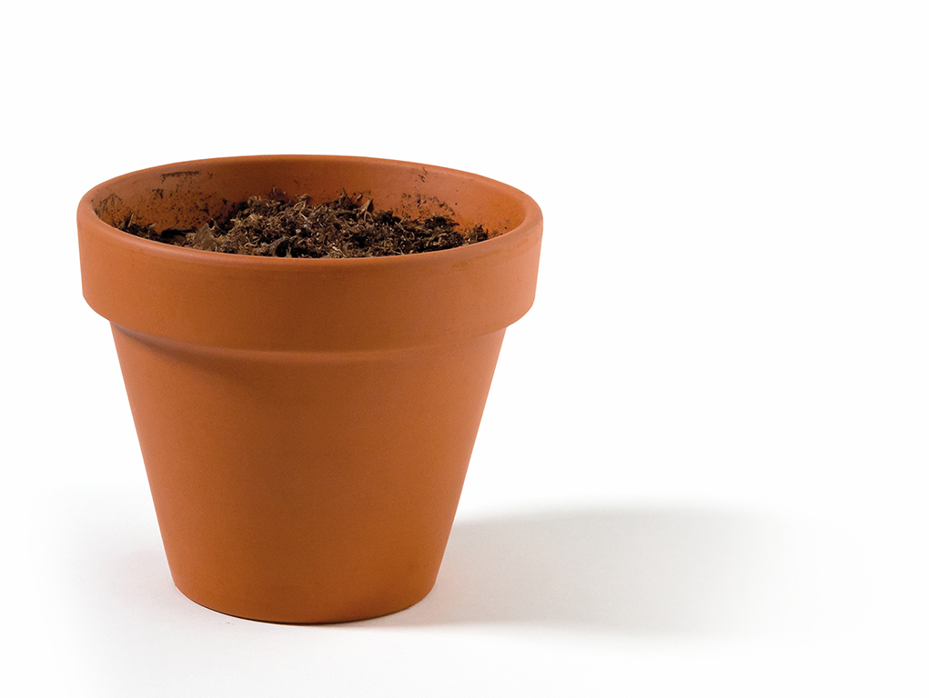 Soil in a Pot