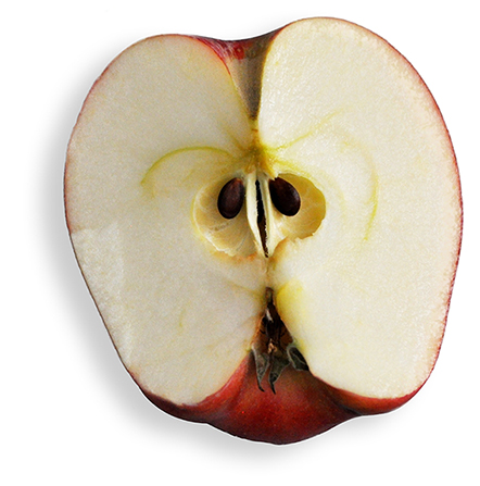 apple-fruit-1339124-gallery.jpg