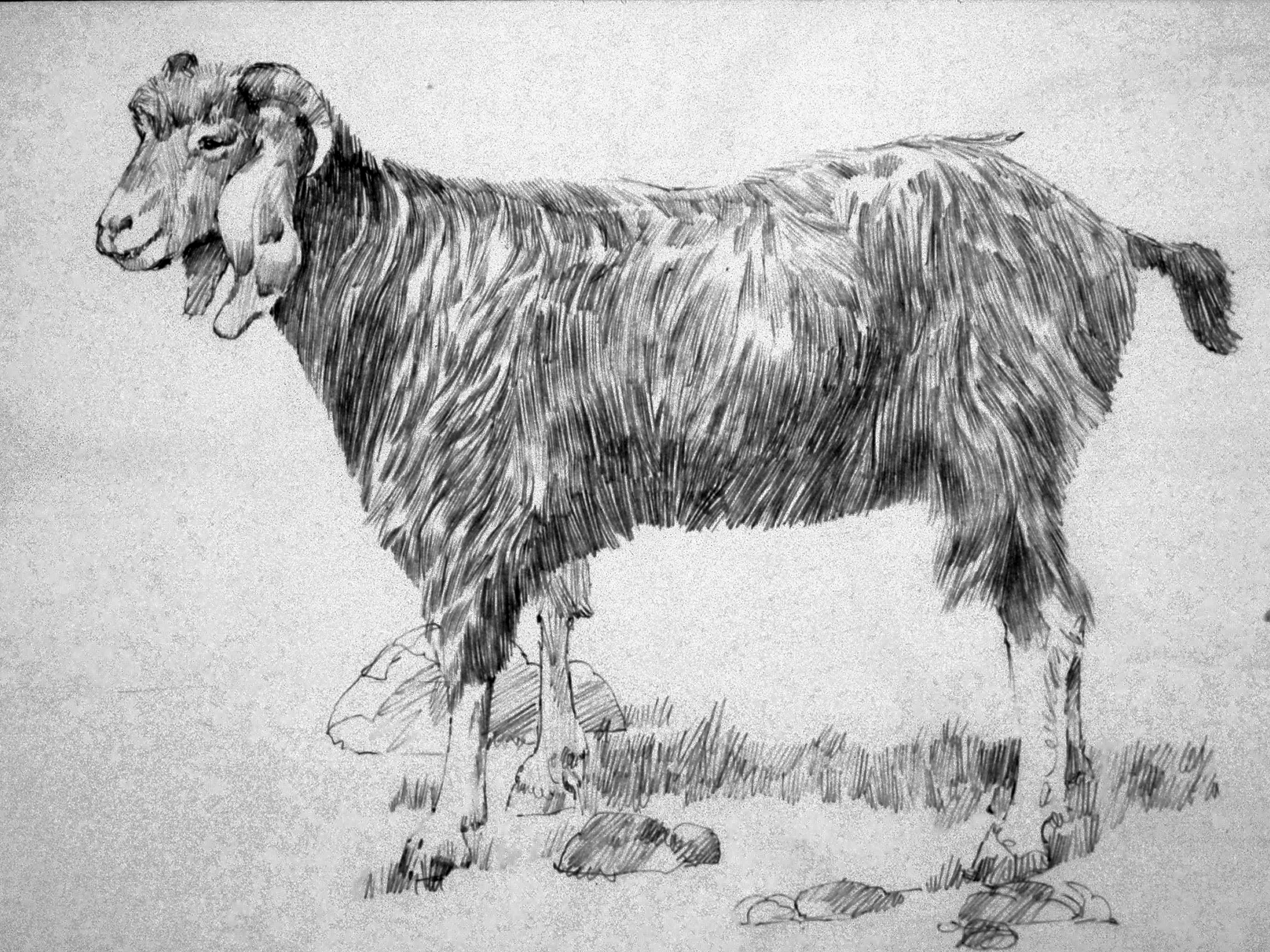 The Scapegoat The Scapegoat