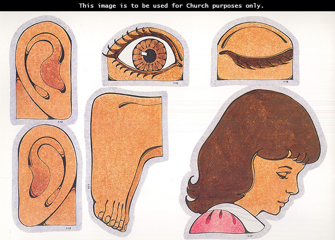Primary cutouts of a left ear, right ear, feet, an open brown eye, a closed eye, and the head of a girl with brown hair and a pink blouse.