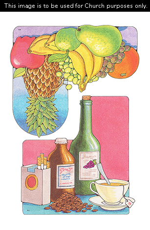 Two Primary cutouts of five unhealthy foods in the Word of Wisdom and a variety of fruits beside each other.