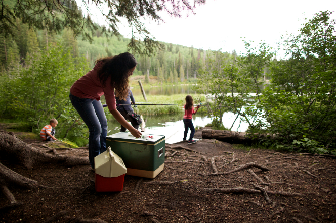 A mother prepares a fishing line by a cooler while the father and two children start to fish over at a lake.