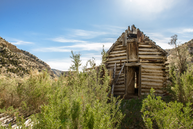 Mountain Cabin