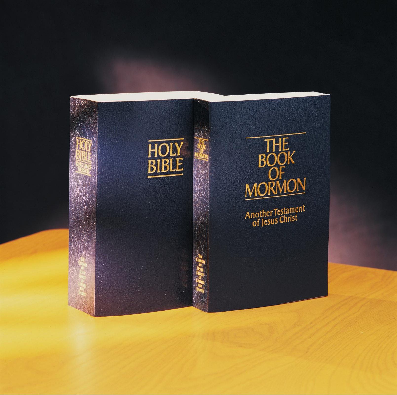 Image result for book of mormon and bible