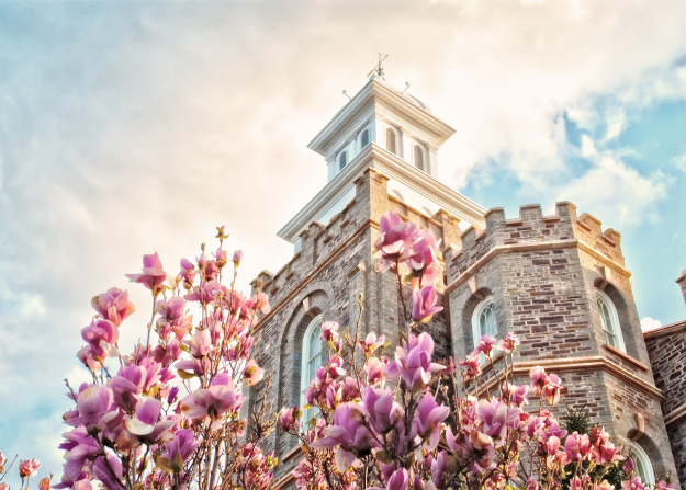 The front spire on the Logan Utah Temple, seen rising above bright pink blossoms from a nearby tree on a sunny day.