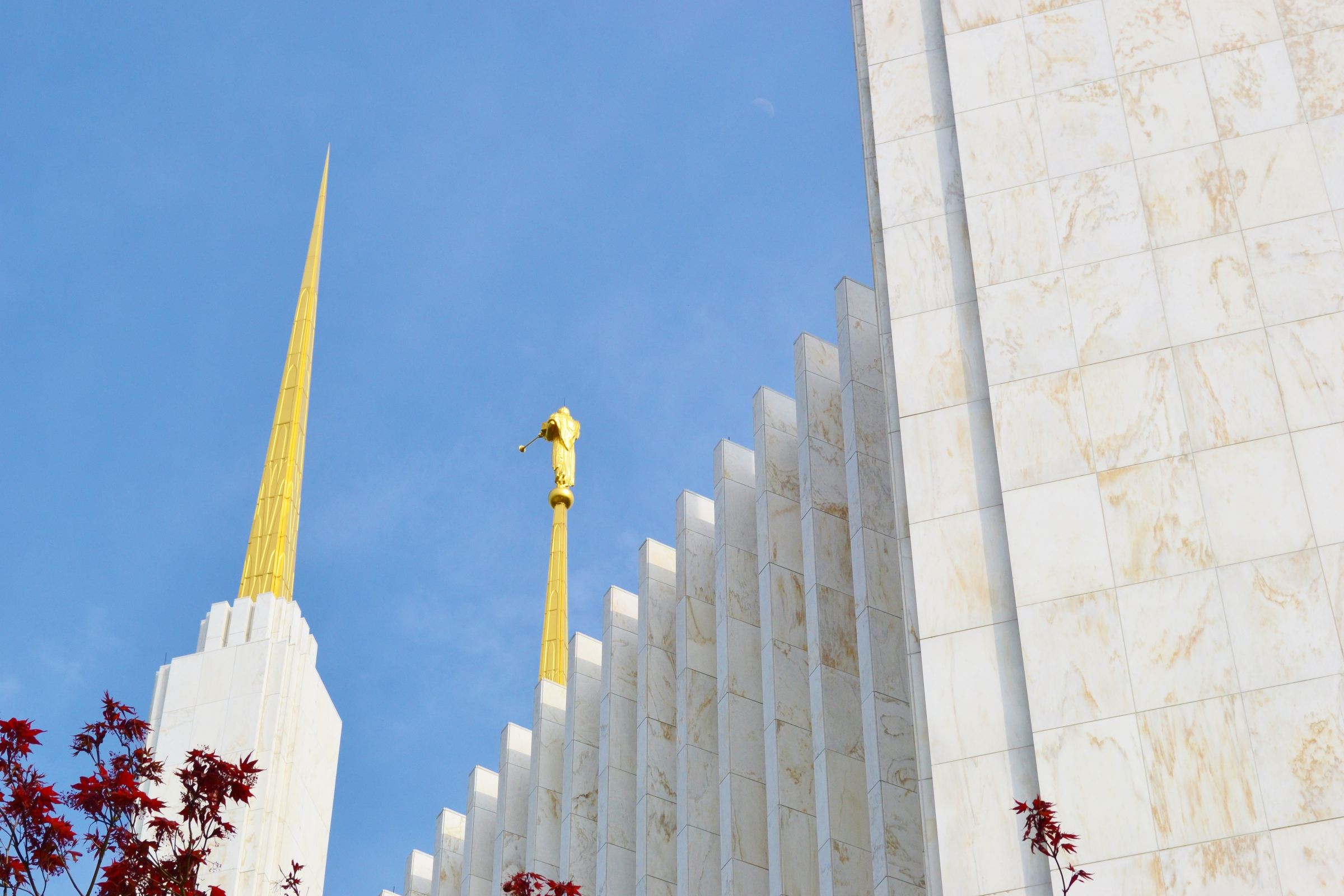 The Church of Jesus Christ of Latter-Day Saints | 770 Elk Dr, Brookings, OR, 97415 | +1 (641) 469-6420