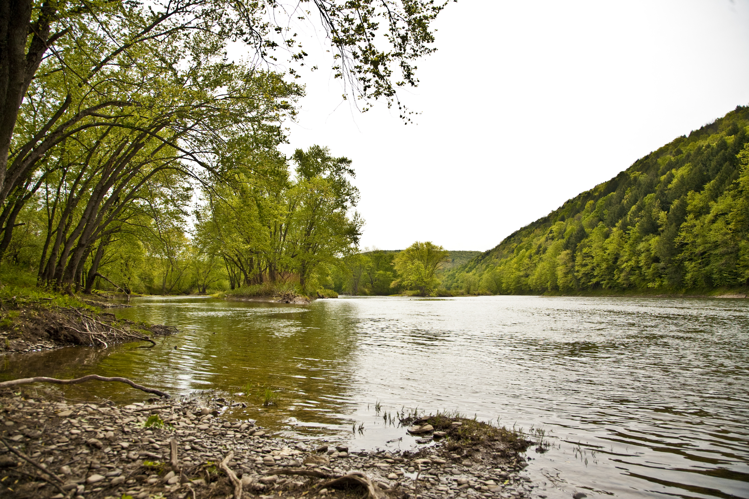 Susquehanna River susquehanna-river