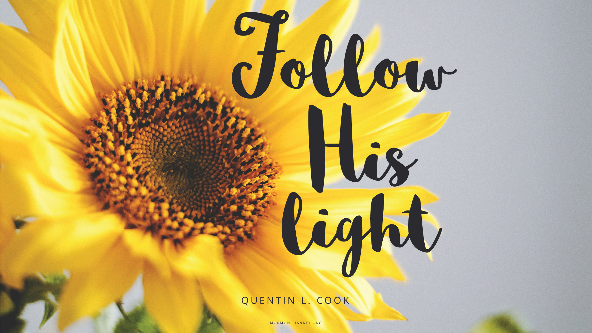 Daily Quote: Follow the Son  Mormon Channel
